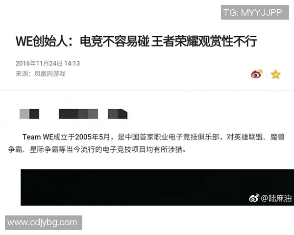 esports最新数据揭秘王者荣耀成功背后的故事与李静的独特见解 esports最新数据揭秘王者荣耀成功背后的故事与李静的独特见解